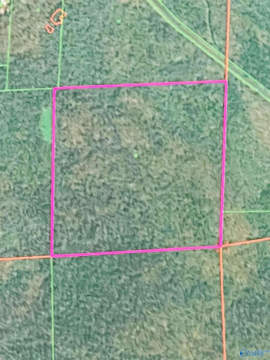 40 Acres of Land for Sale in Gurley, Alabama
