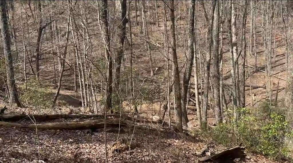 0.79 Acres of Residential Land for Sale in Jasper, Georgia