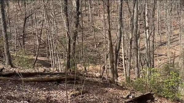 0.79 Acres of Residential Land for Sale in Jasper, Georgia