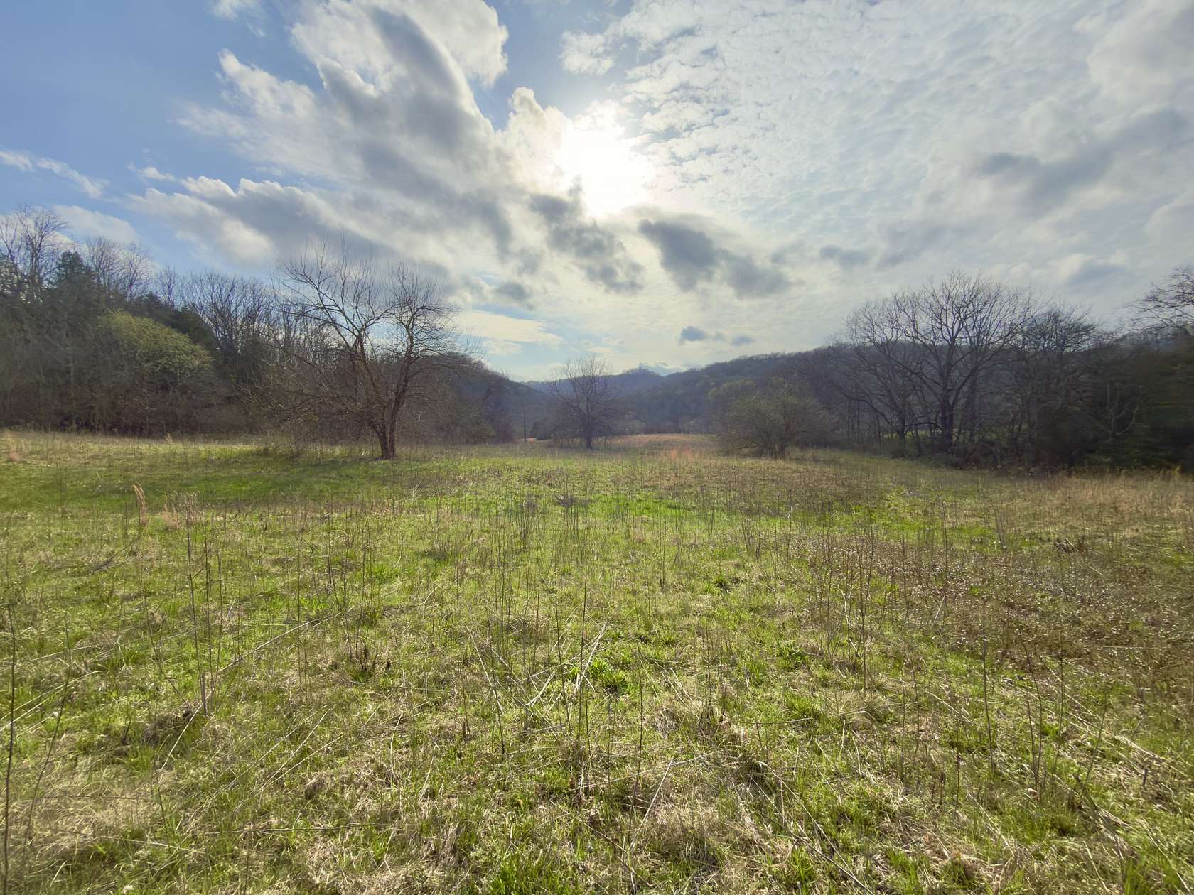 30 Acres of Land for Sale in Woodbury, Tennessee