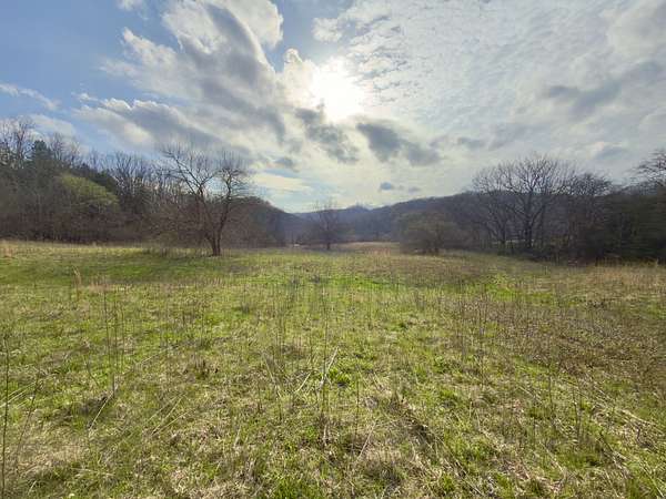 30 Acres of Land for Sale in Woodbury, Tennessee