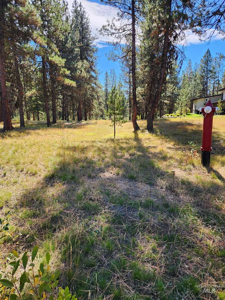0.41 Acres of Residential Land for Sale in McCall, Idaho