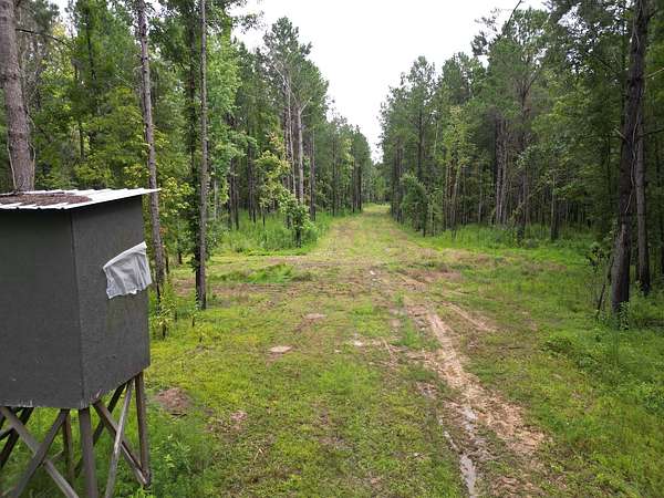 57.3 Acres of Recreational & Residential Land for Sale in Roseland, Louisiana