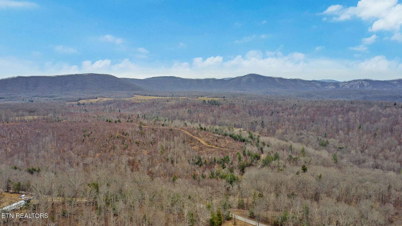 120 Acres of Land for Sale in Sunbright, Tennessee