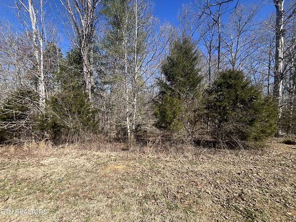4.32 Acres of Residential Land for Sale in Rockwood, Tennessee