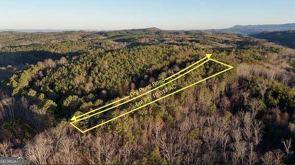 10.8 Acres of Land for Sale in Ranger, Georgia