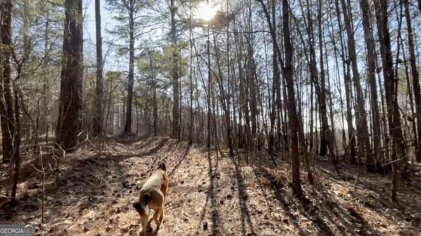 12.4 Acres of Land for Sale in Ranger, Georgia