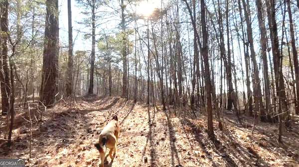 12.8 Acres of Land for Sale in Ranger, Georgia