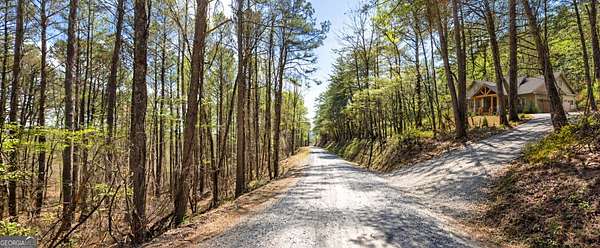 12.8 Acres of Land for Sale in Ranger, Georgia