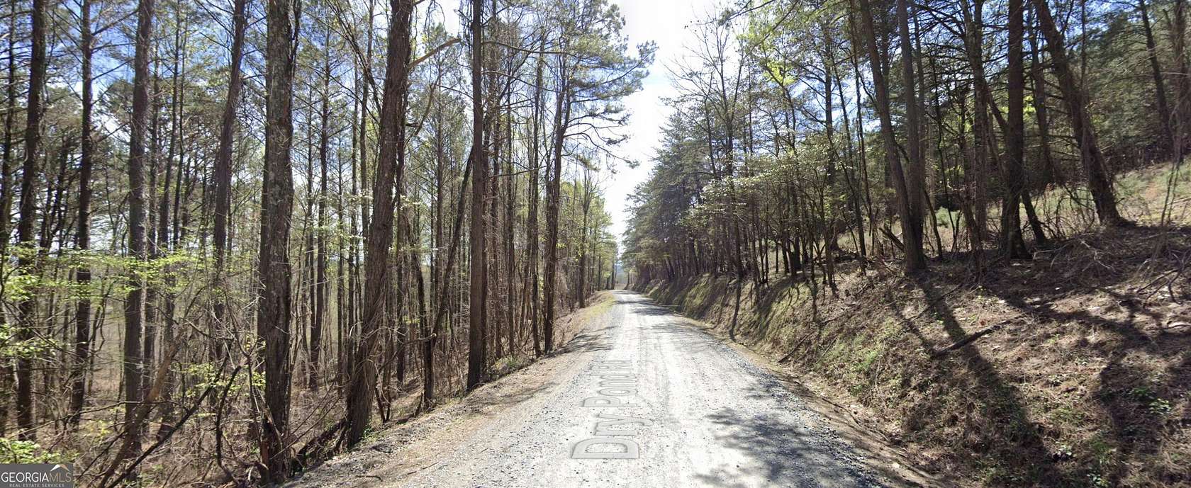 10.1 Acres of Land for Sale in Ranger, Georgia