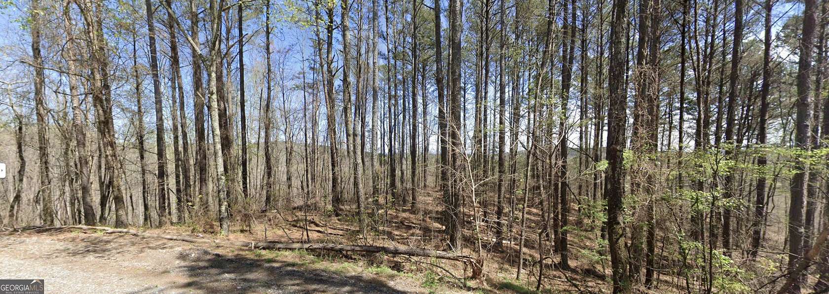 10.1 Acres of Land for Sale in Ranger, Georgia