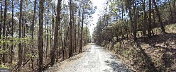 10.1 Acres of Land for Sale in Ranger, Georgia