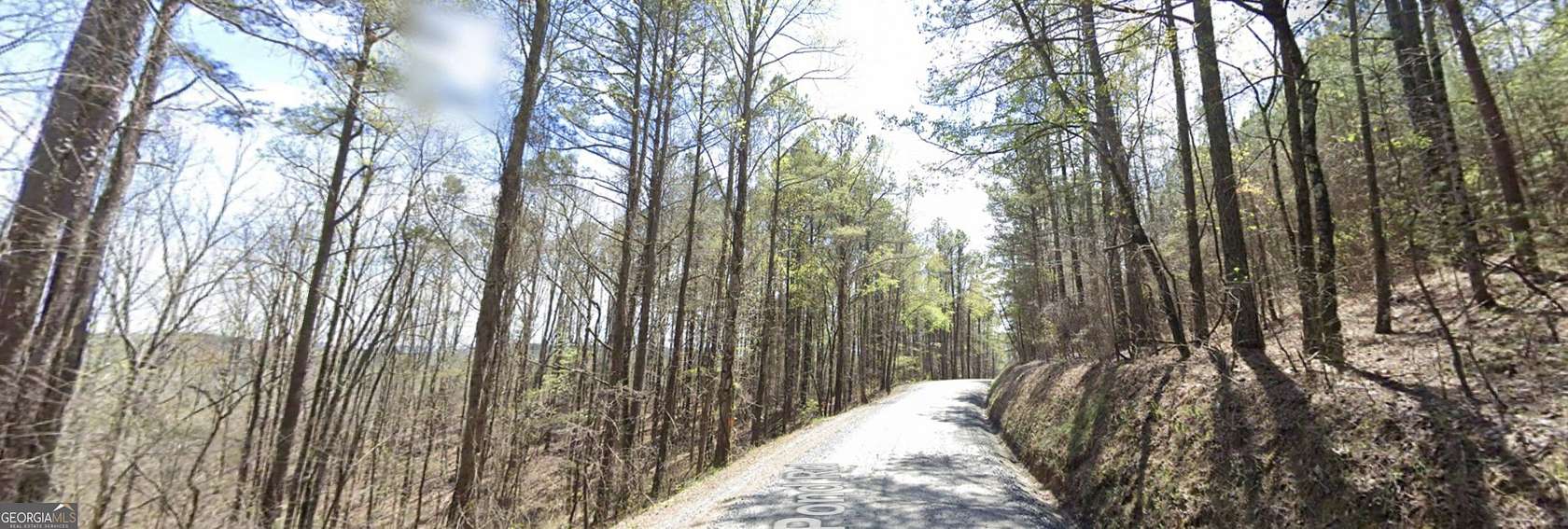 10.8 Acres of Land for Sale in Ranger, Georgia