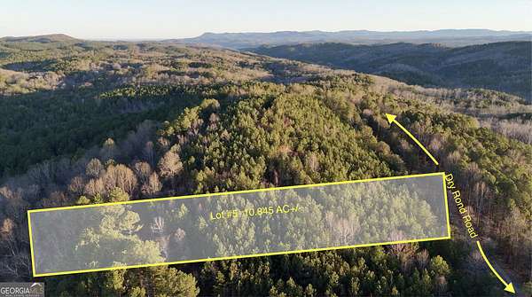 10.8 Acres of Land for Sale in Ranger, Georgia