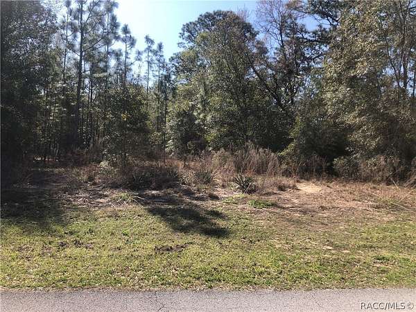 0.99 Acres of Residential Land for Sale in Beverly Hills, Florida