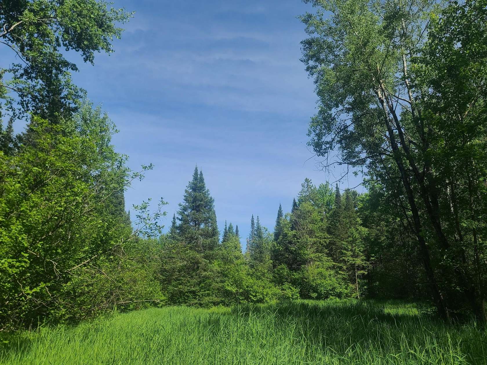 168 Acres of Land for Sale in Prentice, Wisconsin