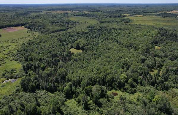 168 Acres of Land for Sale in Prentice, Wisconsin