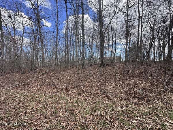 0.25 Acres of Residential Land for Sale in Crossville, Tennessee