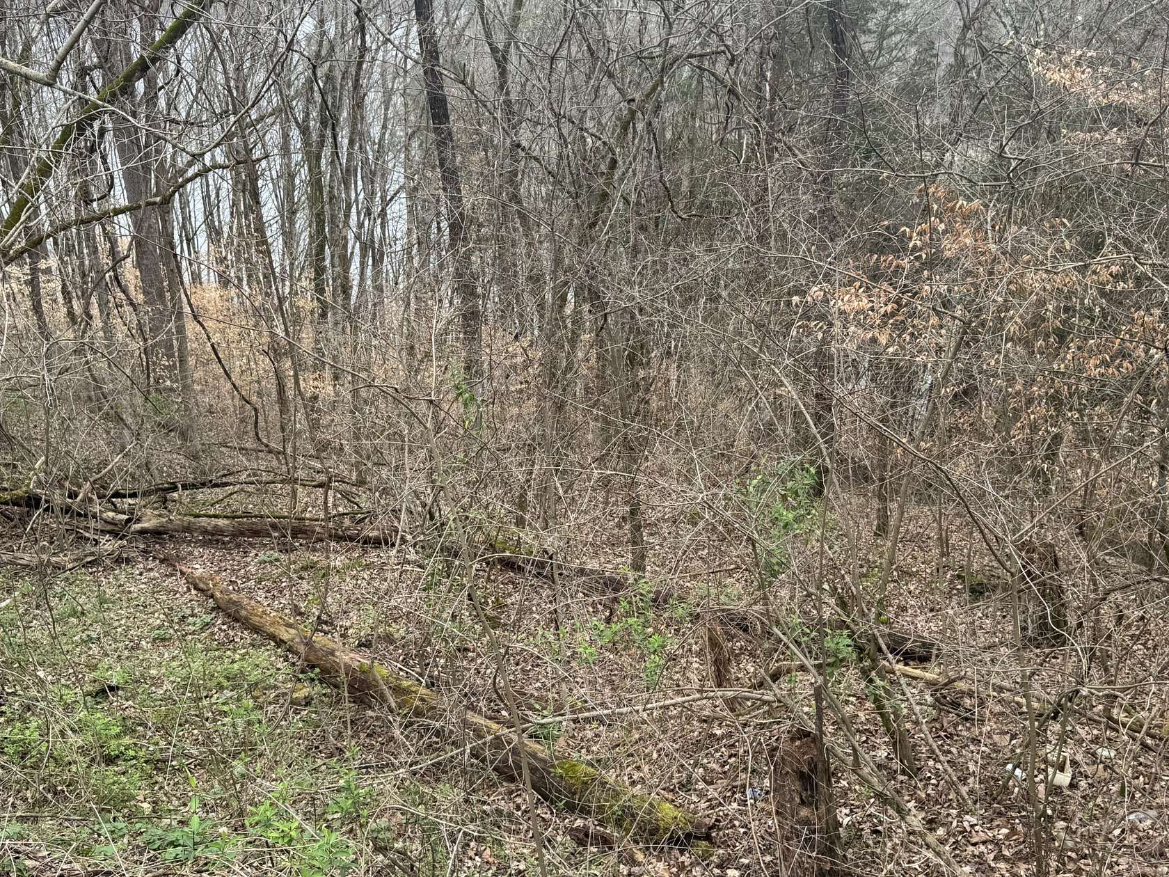 0.13 Acres of Residential Land for Sale in Smithville, Tennessee