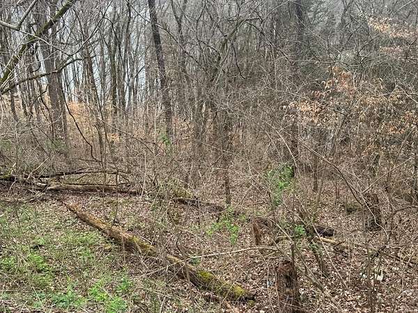 0.13 Acres of Land for Sale in Smithville, Tennessee