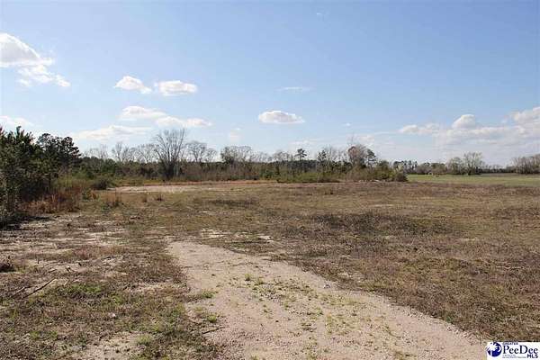 6 Acres of Residential Land for Sale in Lamar, South Carolina