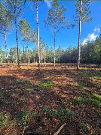 0.52 Acres of Residential Land for Sale in Loris, South Carolina