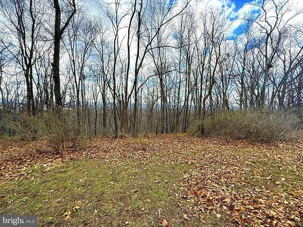 7 Acres of Land for Sale in Romney, West Virginia