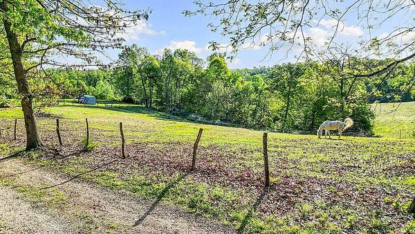 85 Acres of Land for Sale in Pineville, Missouri
