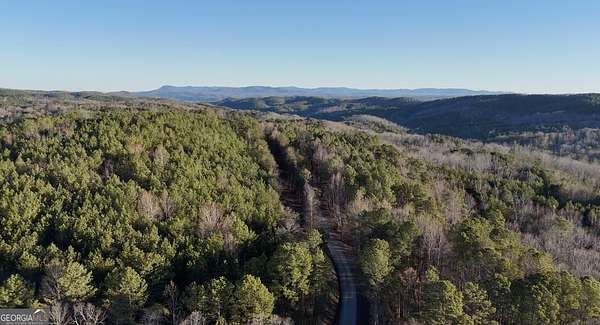 12.8 Acres of Land for Sale in Ranger, Georgia