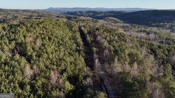 12.8 Acres of Land for Sale in Ranger, Georgia