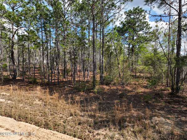 1 Acre of Residential Land for Sale in Keystone Heights, Florida