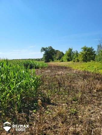 1 Acre of Residential Land for Sale in Swartz Creek, Michigan