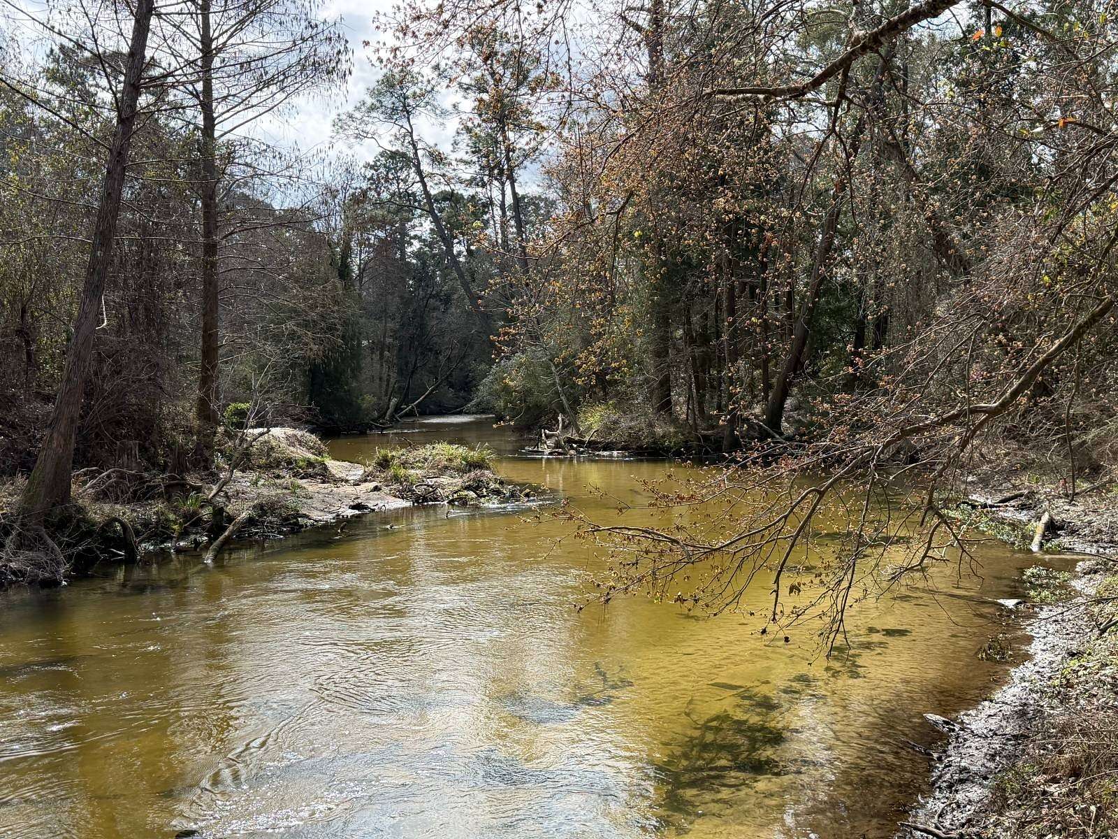 22.8 Acres of Recreational Land for Sale in Fairhope, Alabama