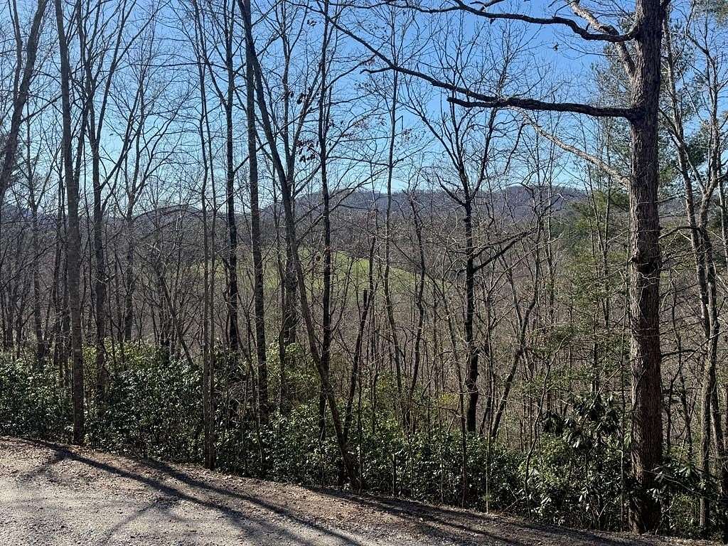 1 Acre of Land for Sale in Warne, North Carolina