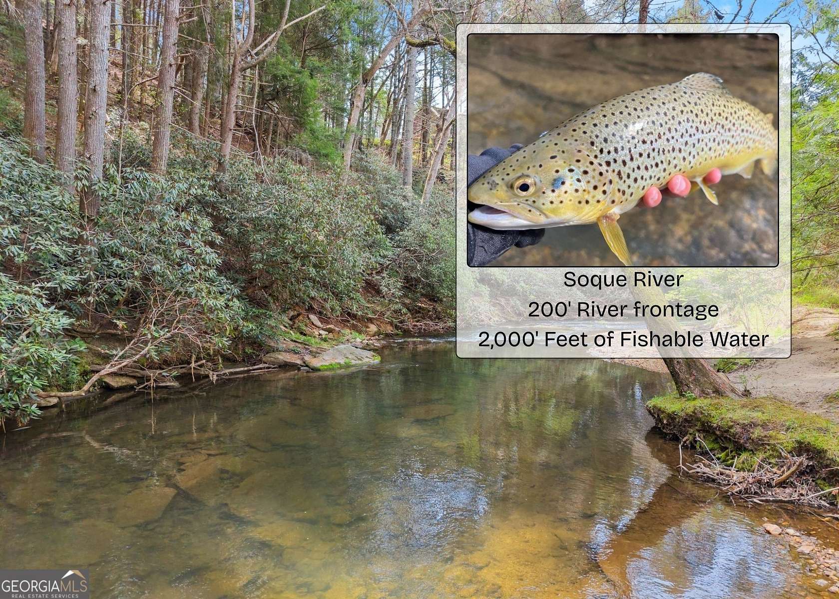 2 Acres of Residential Land for Sale in Clarkesville, Georgia