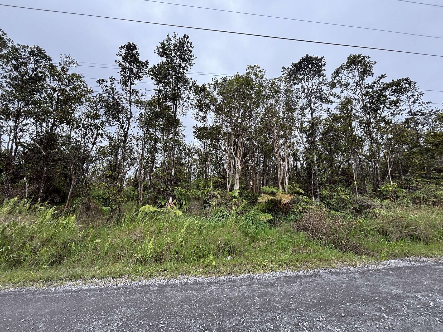3 Acres of Residential Land for Sale in Volcano, Hawaii