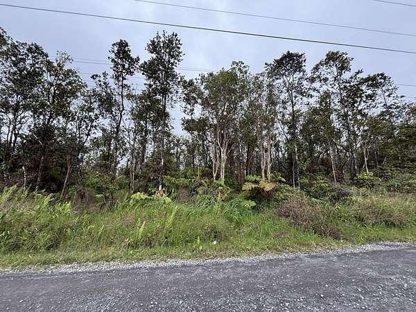 3 Acres of Residential Land for Sale in Volcano, Hawaii