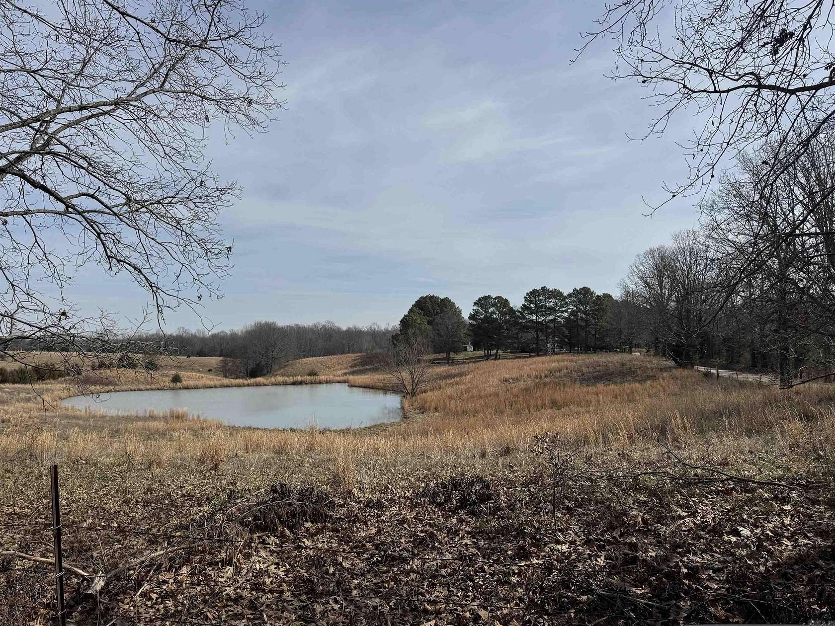 8.5 Acres of Land for Sale in Piggott, Arkansas