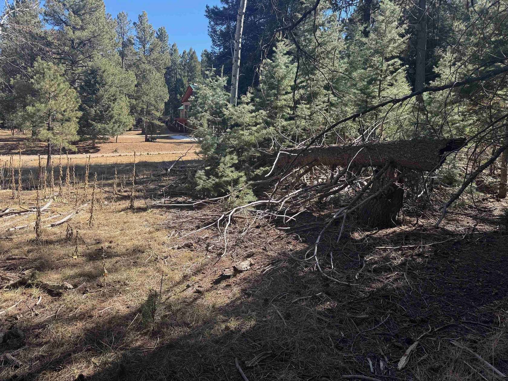 0.63 Acres of Residential Land for Sale in Angel Fire, New Mexico