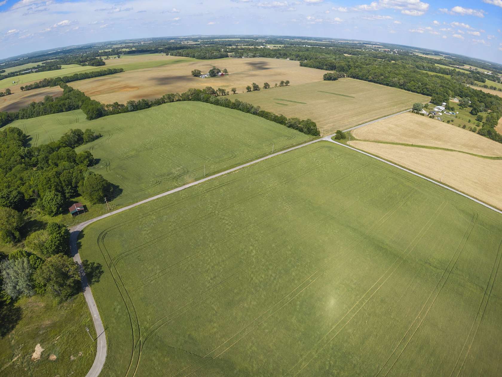 239 Acres of Land for Sale in Springfield, Tennessee