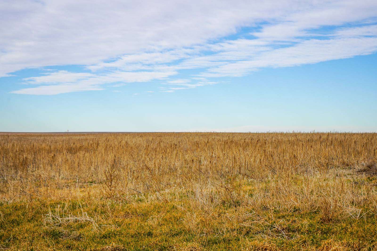 480 Acres of Agricultural Land for Sale in Tribune, Kansas