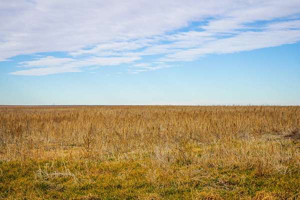 480 Acres of Agricultural Land for Sale in Tribune, Kansas