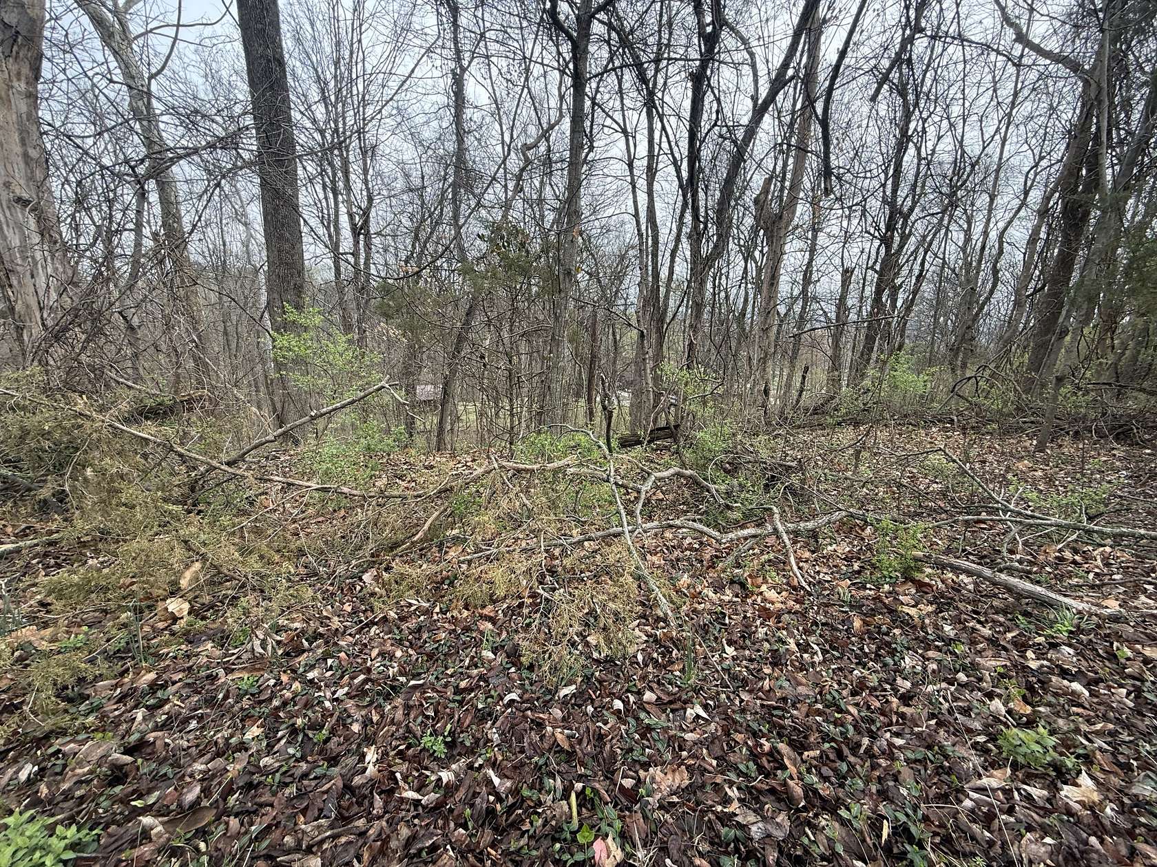 0.49 Acres of Residential Land for Sale in Lebanon, Tennessee