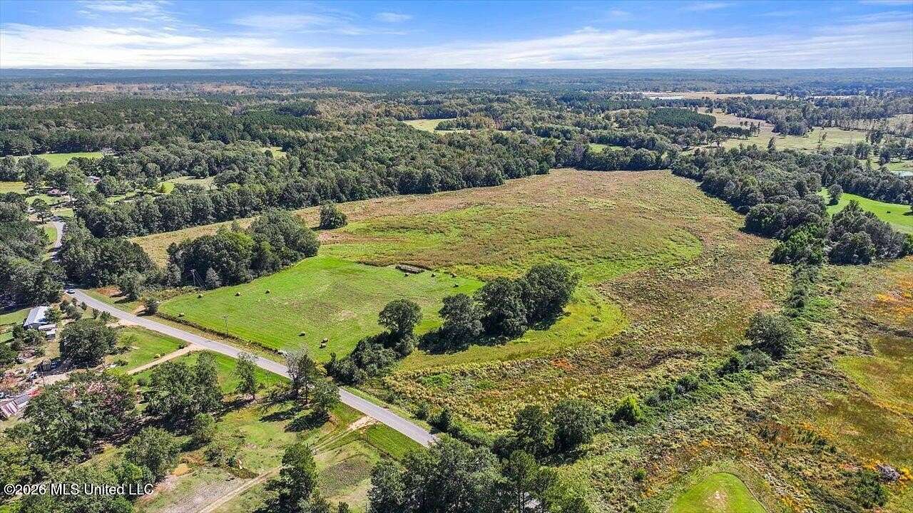 76.4 Acres of Agricultural & Residential Land for Sale in Magee, Mississippi