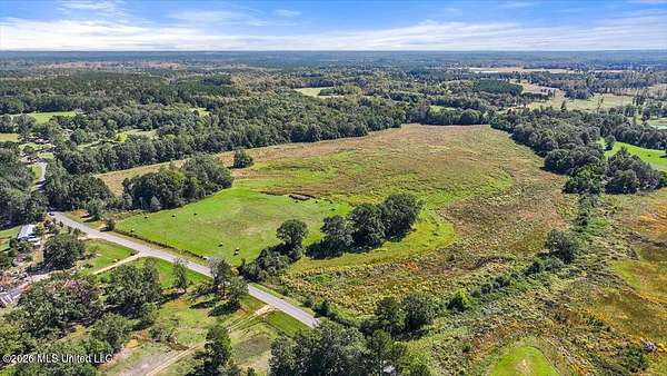 76.4 Acres of Agricultural & Residential Land for Sale in Magee, Mississippi
