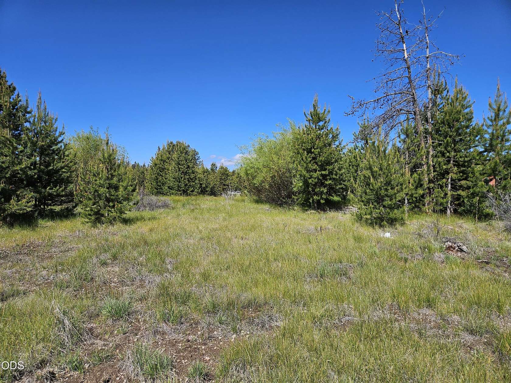 1 Acre of Residential Land for Sale in Chiloquin, Oregon