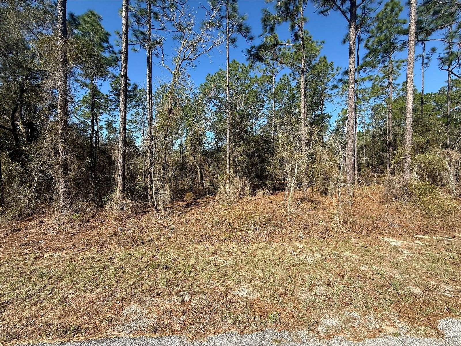 1 Acre of Residential Land for Sale in Dunnellon, Florida