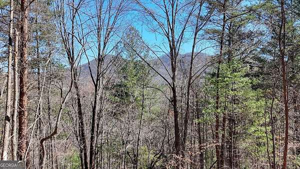 1.15 Acres of Land for Sale in Blairsville, Georgia
