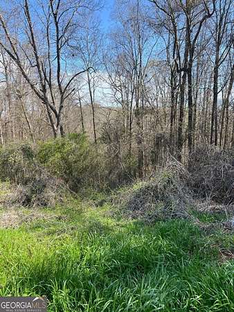 0.38 Acres of Residential Land for Sale in Macon, Georgia