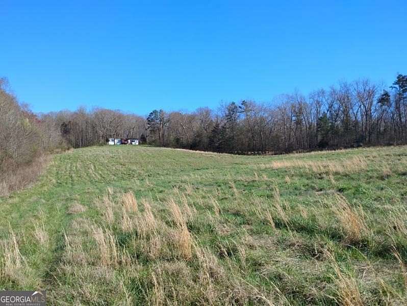 15 Acres of Land with Home for Sale in Carnesville, Georgia